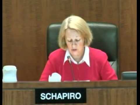 Chairman Schapiro's Statement at SEC Open Meeting ...