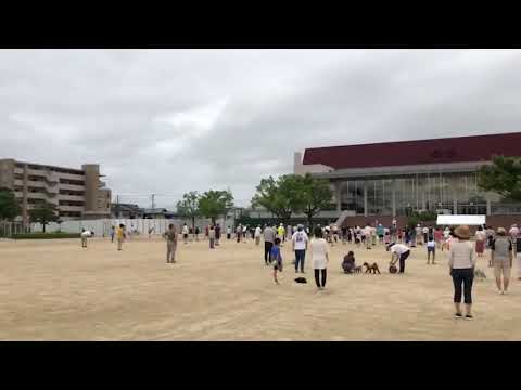 ラジオ体操を六名体育館で参加して来ました！【岡崎市の整体院浅井】