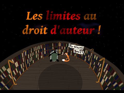 Limites et exceptions au droit d'auteur. Que peut-on mettre en ligne sans autorisation ?