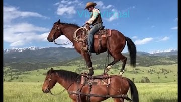 🔥 OpenAI lanza Sora 2 y es una LOCURA  #Sora2