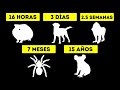 Cuánto tiempo pueden vivir los animales sin agua