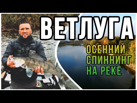 ВЕТЛУГА осенний спиннинг