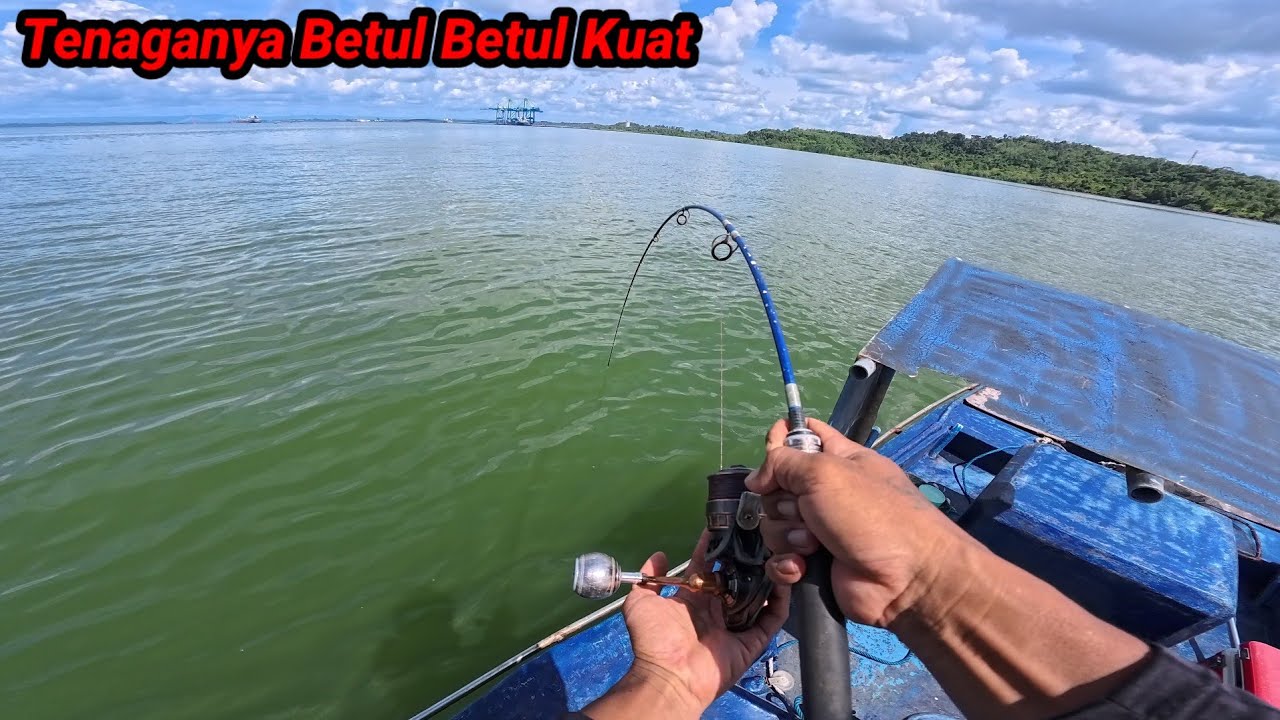 Saya Hampir Kewalahan Menghadapi ikan Besar Yg Satu ini, ikan Besar Yg Di Juluki Super Kuat