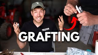 The Most COMPLETE Guide to Grafting Fruit Trees on The Internet 