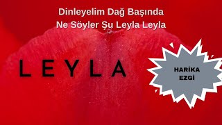 Leyla - Müziksiz Harika Ezgi | Ömer Faruk Demirbaş Resimi