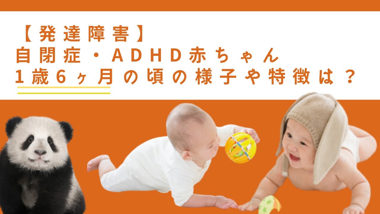発達障害 自閉症 Adhd赤ちゃん1歳6ヶ月の頃の様子や特徴は Youtube