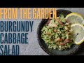 Burgundy style cabbage salad with apple and bacon