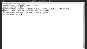 Checking Linux Java Version for DevTest Solutions 10.0