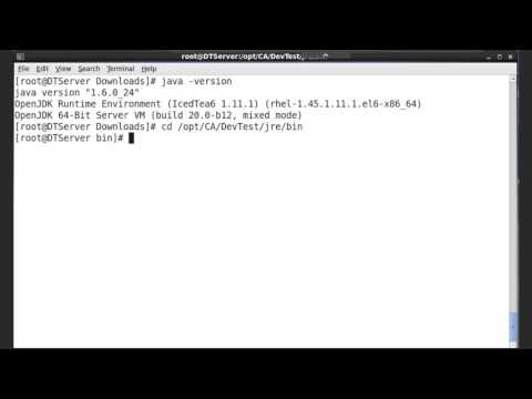 Checking Linux Java Version for DevTest Solutions 10.0