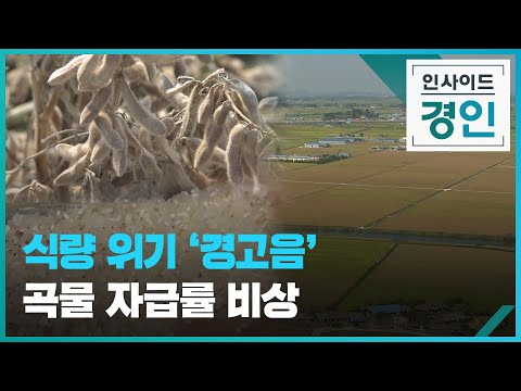 식량 위기 &amp;#39;경고음&amp;#39;…<strong>곡물</strong> 자급률 비상 [인사이드경인] / KBS 2023.02.10.