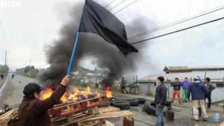 Chile's biggest ever 'red tide' threatens sea life   BBC News