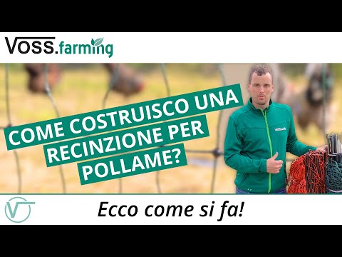 Come costruisco una recinzione per pollame? #eccocomesifa