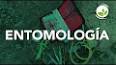 El curioso mundo de la Entomología ile ilgili video