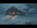 The Ultimate Blizzard┇Blowing Snow & Howling Wind┇White Noise Sleep Aid for Restful Nights