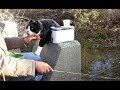 【地域猫】猫と釣りに行くと苦労が絶えない。【魚くれくれ野良猫製作委員会】