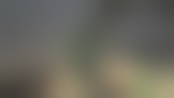 ARK: Survival Evolved - Bug/Glitch Good Dino