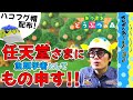 【愛の叫び】任天堂さまぁ～お魚が大変ですよ！【あつ森#3】