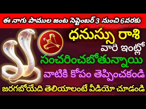 #ధనుస్సురాశి వారిఇంట్లో ఇద్దరు దేవతలు సంచరించబోతున్నాయి వాటికి కోపం తెప్పించకండిజరగబోయేది తెలియాలంటే