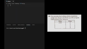 Informatika DIM 2024 Programlasdirma Sualinin izahi#shorts