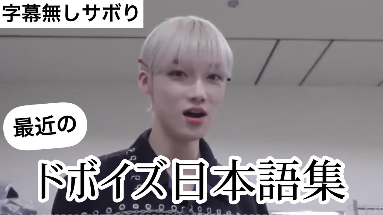 最近のドボイズの日本語集