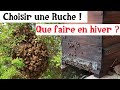 Débuter l&#39;Apiculture ! Quelle ruche choisir et que faire en hiver ?