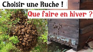 Débuter l'Apiculture ! Quelle ruche choisir et que faire en hiver ?