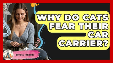 Why Do Cats Fear Their Car Carrier? - Happy Cat Handbook