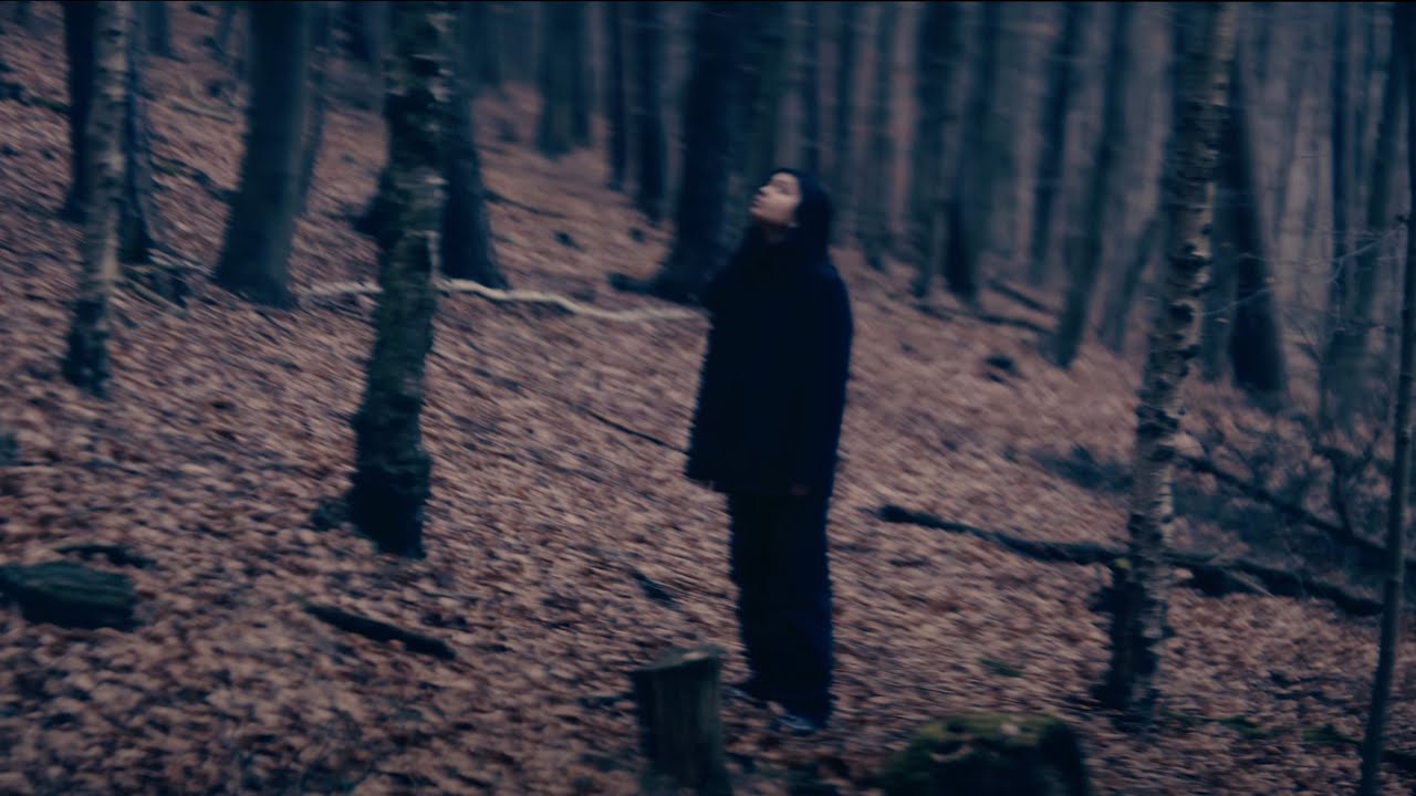 Scarry Forest | short film | Simon Kramer