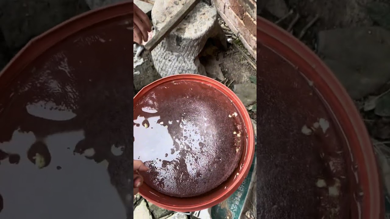 Ăn tết ở Trung Quốc T3