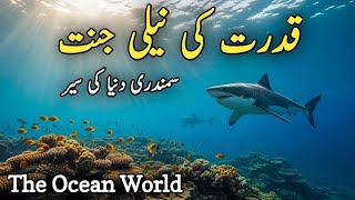 Smunder ki khoobsoorat dunya | The Hidden Beauty of the Ocean World | the hidden word