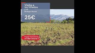 ID:485 Regala una experiencia en Barcelona: visita a viñedos y Bodega-Museo 🍷🌿 Paseo, cata y