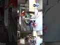 Orange cat vs. raccoon intruder