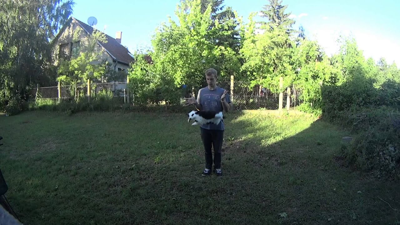 Spongli (slow motion)