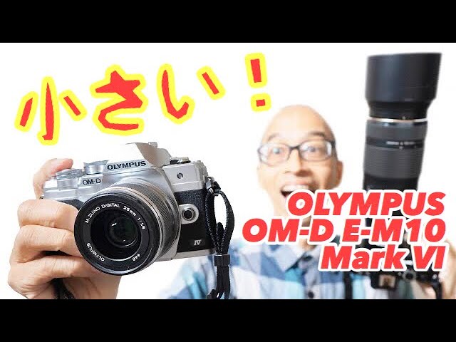 OM-D E-M10 Mark IVとPEN E-P7を徹底比較【オリンパス ミラーレス一眼