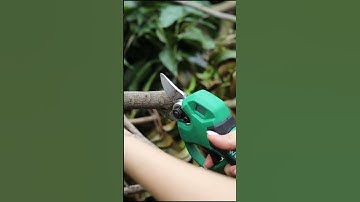 Kéo Cắt Cành WorkFix CP30BL - Đường Kính Cắt Tối Đa 3cm - Cắt Cành, Tỉa Cành Siêu Tiện Dụng