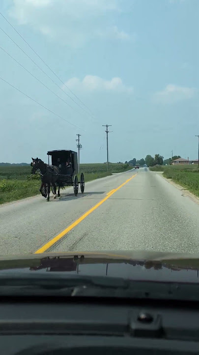 Amish Family in buggy #music #rock #video #subscribe #ozzyosbourne #traffic #youtube