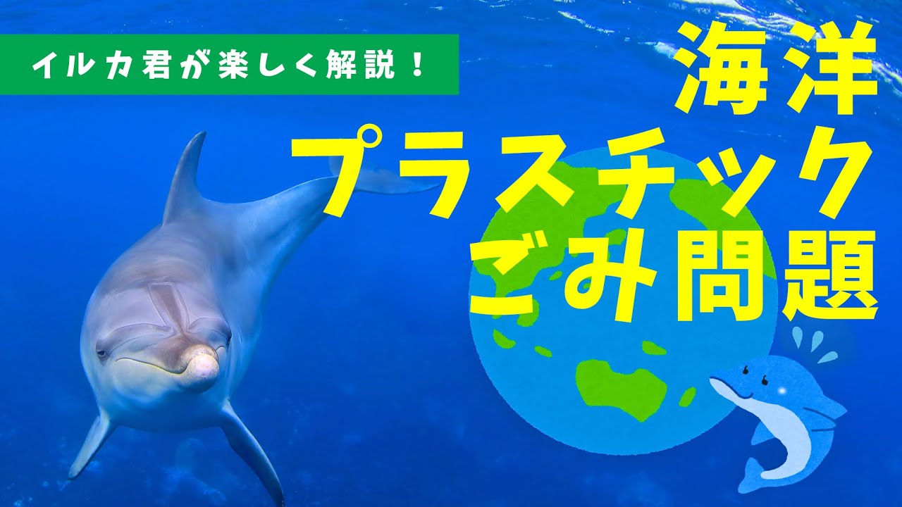 海洋プラスチックごみ問題について イルカくんが教えてくれるよ ニンゲンのみんなへ ボク 地球が心配なんだ Youtube