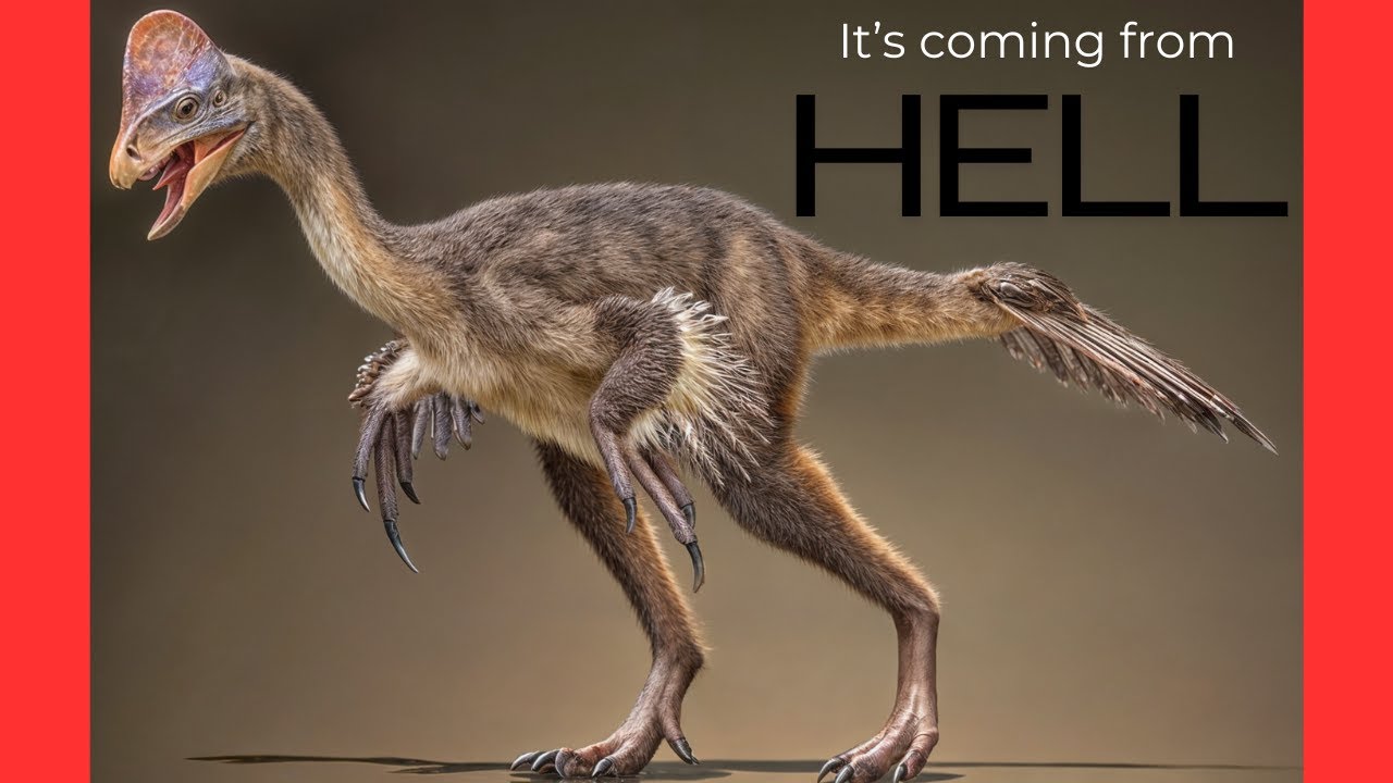 Anzu wyliei "Chicken from Hell" #dinosaur - YouTube