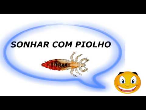 Sonhar com piolho é ruim? Saiba qual o significado evangélico de sonhar com  esse animal