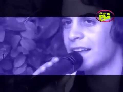 گۆرانی بێژ کەیوان کەریمی گۆرانی بازرگانەکەی بێ سەرمایە خۆر