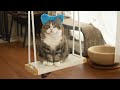 まるです16。-I am Maru 16.-