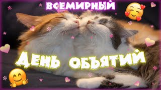 Сегодня День Объятий! 😻 Обнимашки!🤗🤗🤗🤗🤗