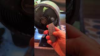 This Shark FlexBreeze makes a great patio, deck or porch fan #sharkfan #sharkflexbreeze #cordlessfan