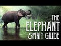 Elephant Spirit Guide - Ask the Spirit Guides Oracle Totem Animal - Power Animal - Magical Crafting