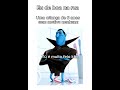 até chorei depois dessa #memes