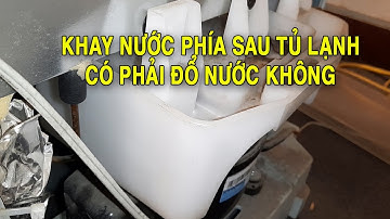 Khay nước phía sau tủ lạnh có tác dụng gì, có cần đổ nước không