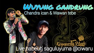 wuyung gandrung || live Nabeuh saguluyurna Wawantebe & Chandra ican