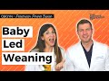 Pediatrician explains babyled weaning benefits risks and getting started