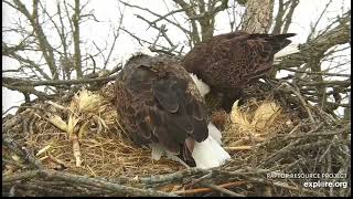 Decorah North Nest 2-16-22, 4:25 pm First shift change, good long look at the egg