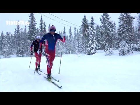 Video: Lei av gjørmen i byen: en innbygger i Jekaterinburg laget en plen etter sveitsisk modell